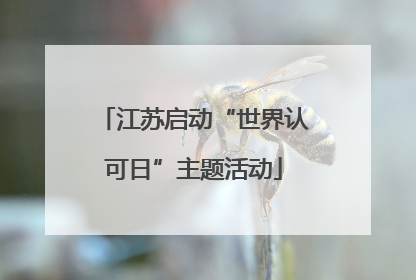 江苏启动“世界认可日”主题活动