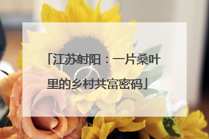 江苏射阳：一片桑叶里的乡村共富密码