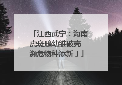 江西武宁：海南虎斑鳽幼雏破壳 濒危物种添新丁