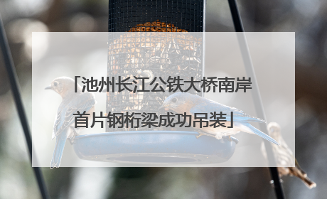池州长江公铁大桥南岸首片钢桁梁成功吊装