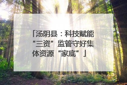汤阴县：科技赋能“三资”监管守好集体资源“家底”