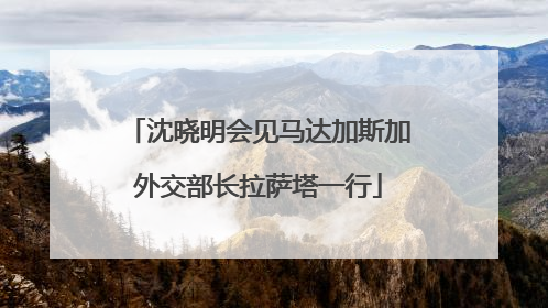 沈晓明会见马达加斯加外交部长拉萨塔一行