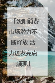 沈阳消费市场潜力不断释放 活力迸发亮点频现
