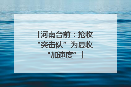 河南台前：抢收“突击队”为夏收“加速度”