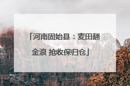 河南固始县：麦田翻金浪 抢收保归仓