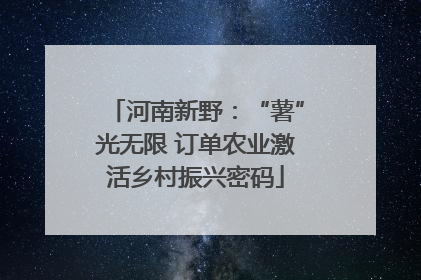 河南新野：“薯”光无限 订单农业激活乡村振兴密码