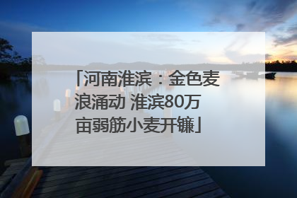河南淮滨：金色麦浪涌动 淮滨80万亩弱筋小麦开镰