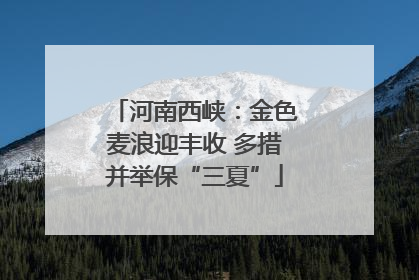 河南西峡：金色麦浪迎丰收 多措并举保“三夏”
