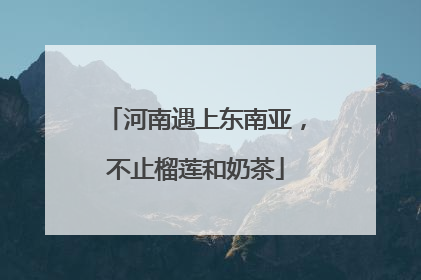 河南遇上东南亚，不止榴莲和奶茶
