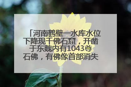 河南鹤壁一水库水位下降现千佛石窟，开凿于东魏内有1043尊石佛，有佛像首部消失，水库管理方回应