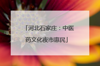 河北石家庄：中医药文化夜市惠民