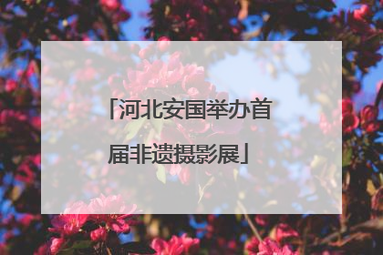 河北安国举办首届非遗摄影展