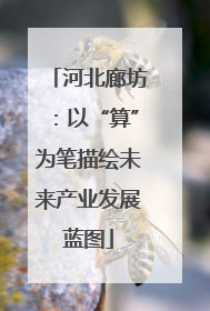 河北廊坊：以“算”为笔描绘未来产业发展蓝图