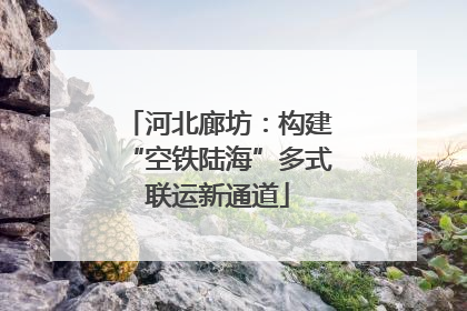 河北廊坊：构建“空铁陆海”多式联运新通道