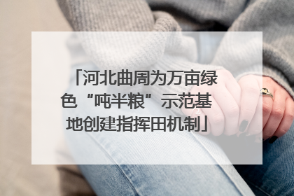 河北曲周为万亩绿色“吨半粮”示范基地创建指挥田机制