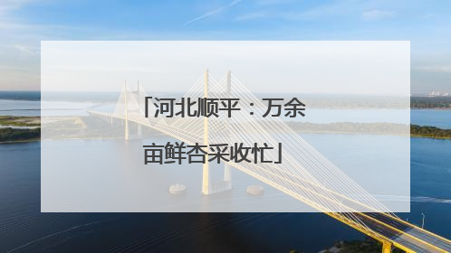河北顺平：万余亩鲜杏采收忙