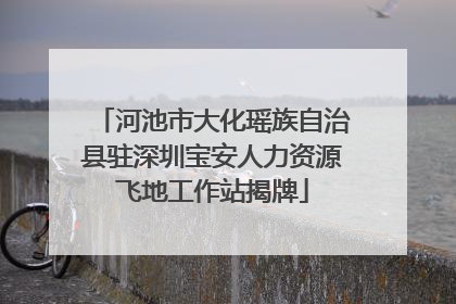 河池市大化瑶族自治县驻深圳宝安人力资源飞地工作站揭牌