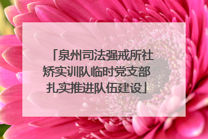 泉州司法强戒所社矫实训队临时党支部扎实推进队伍建设