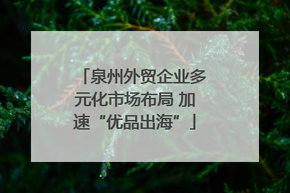 泉州外贸企业多元化市场布局 加速“优品出海”