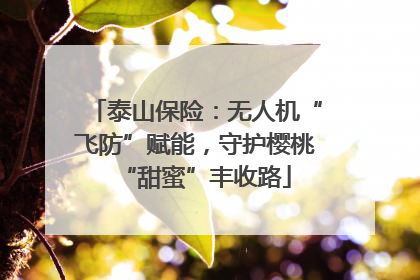 泰山保险：无人机“飞防”赋能，守护樱桃“甜蜜”丰收路