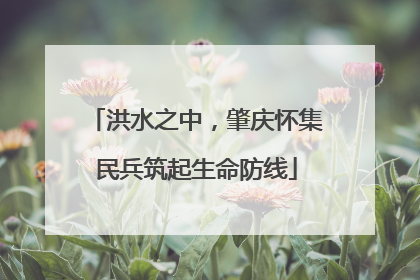 洪水之中，肇庆怀集民兵筑起生命防线