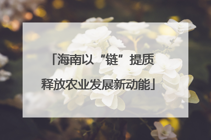 海南以“链”提质 释放农业发展新动能