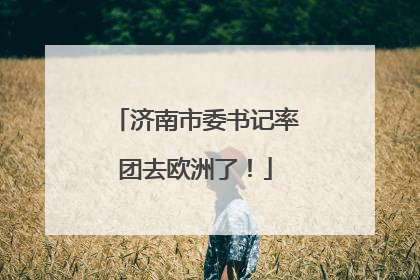 济南市委书记率团去欧洲了！