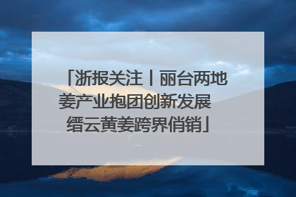 浙报关注丨丽台两地姜产业抱团创新发展 缙云黄姜跨界俏销