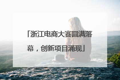 浙江电商大赛圆满落幕，创新项目涌现