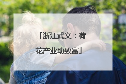 浙江武义：荷花产业助致富