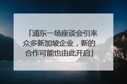 浦东一场座谈会引来众多新加坡企业，新的合作可能也由此开启