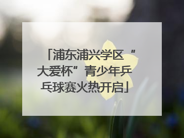 浦东浦兴学区“大爱杯”青少年乒乓球赛火热开启