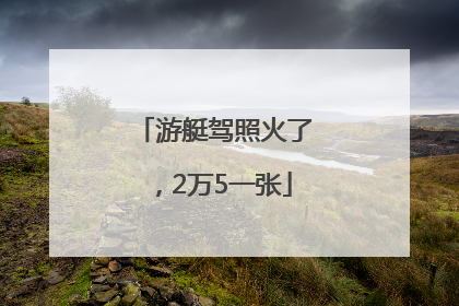 游艇驾照火了，2万5一张