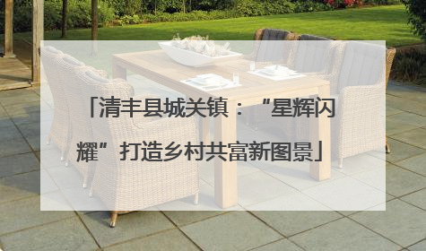 清丰县城关镇：“星辉闪耀”打造乡村共富新图景