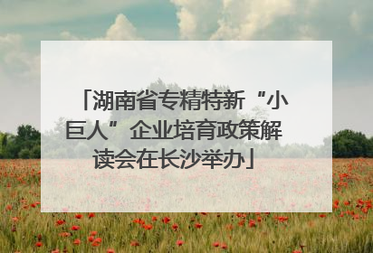 湖南省专精特新“小巨人”企业培育政策解读会在长沙举办