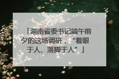 湖南省委书记端午前夕的这场调研，“着眼于人、落脚于人”