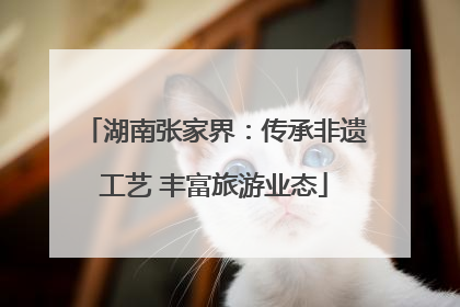 湖南张家界：传承非遗工艺 丰富旅游业态