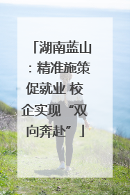 湖南蓝山：精准施策促就业 校企实现“双向奔赴”