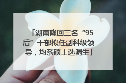 湖南隆回三名“95后”干部拟任副科级领导，均系硕士选调生