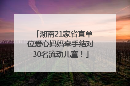 湖南21家省直单位爱心妈妈牵手结对30名流动儿童！