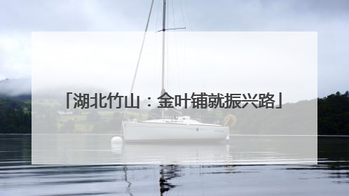 湖北竹山：金叶铺就振兴路