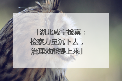 湖北咸宁检察：检察力量沉下去，治理效能提上来