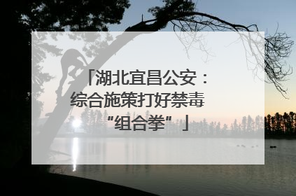 湖北宜昌公安：综合施策打好禁毒“组合拳”