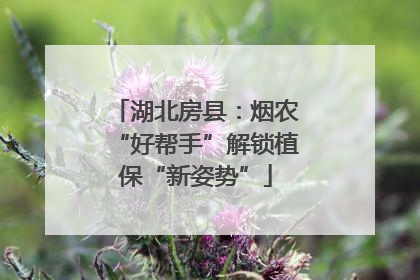 湖北房县：烟农“好帮手”解锁植保“新姿势”
