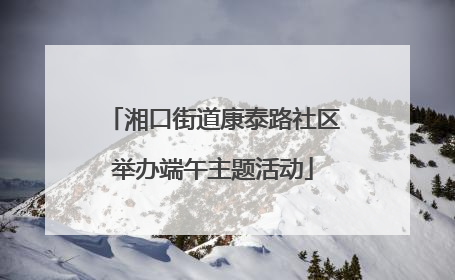 湘口街道康泰路社区举办端午主题活动