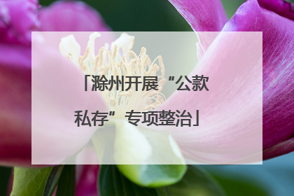 滁州开展“公款私存”专项整治