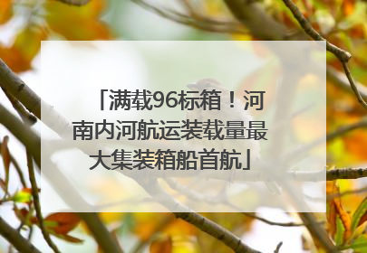 满载96标箱！河南内河航运装载量最大集装箱船首航
