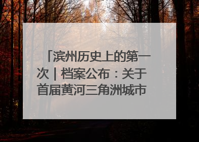 滨州历史上的第一次｜档案公布：关于首届黄河三角洲城市经济博览会暨发展论坛情况的总结报告