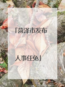 菏泽市发布人事任免