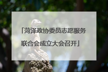 菏泽政协委员志愿服务联合会成立大会召开
